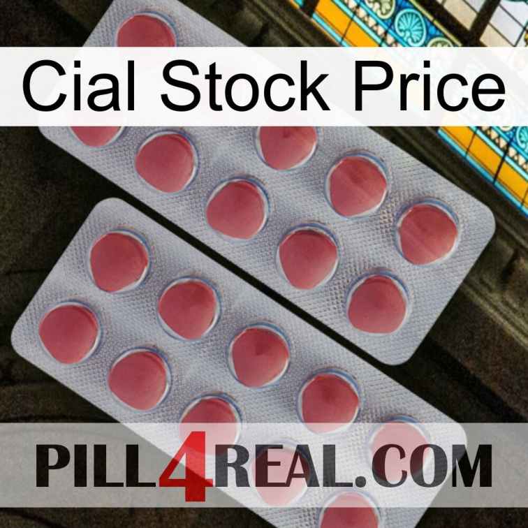 Cial Stock Price 19